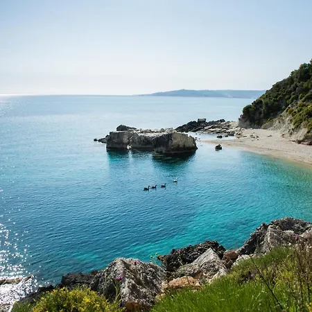 Xigia Vila *